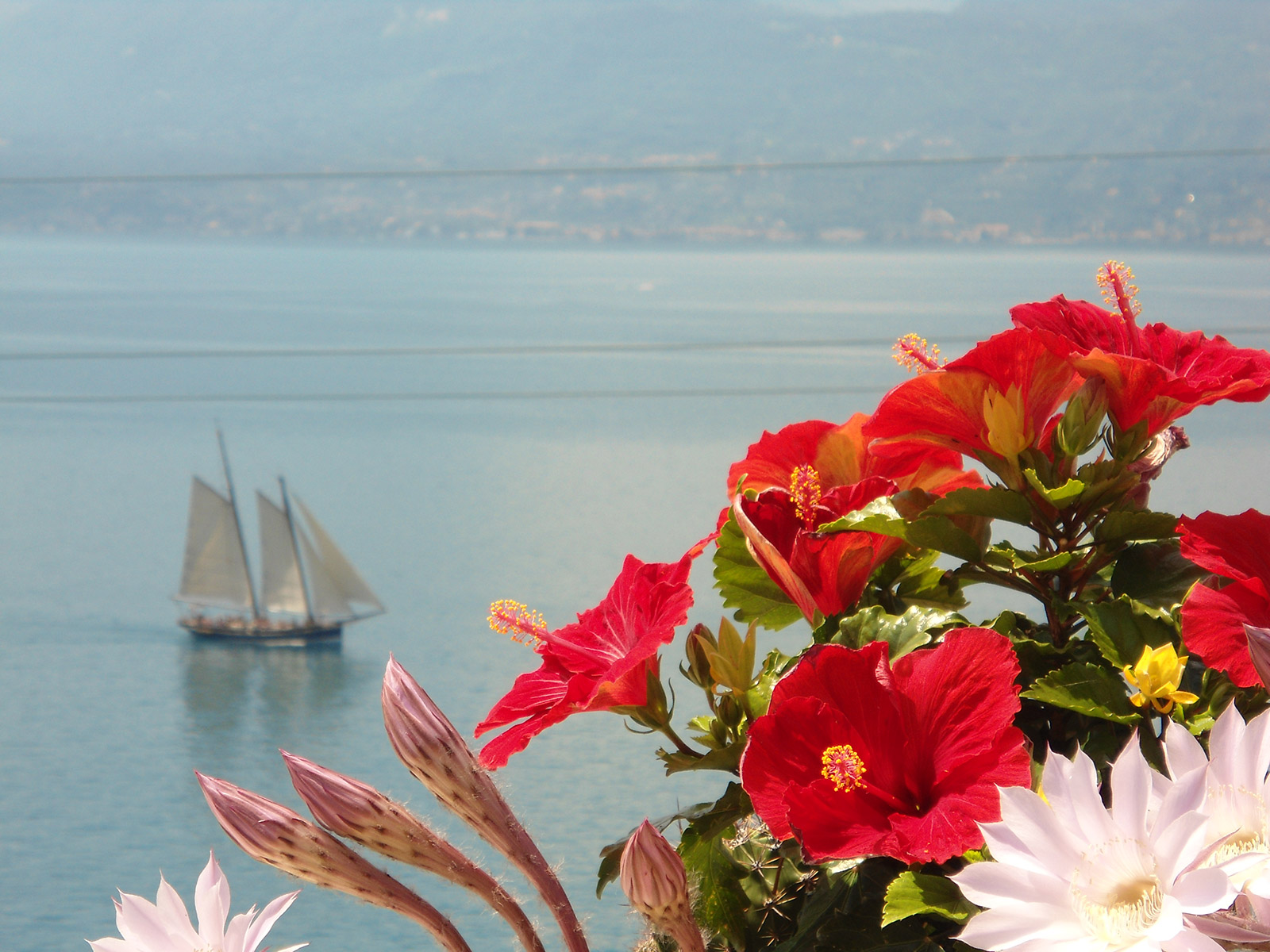 <div style="text-align: left">Welcome <strong>to the Paradise!</strong><br>M<strong>emorable</strong> Holidays<br>at the <strong>Lake Garda</strong></div>